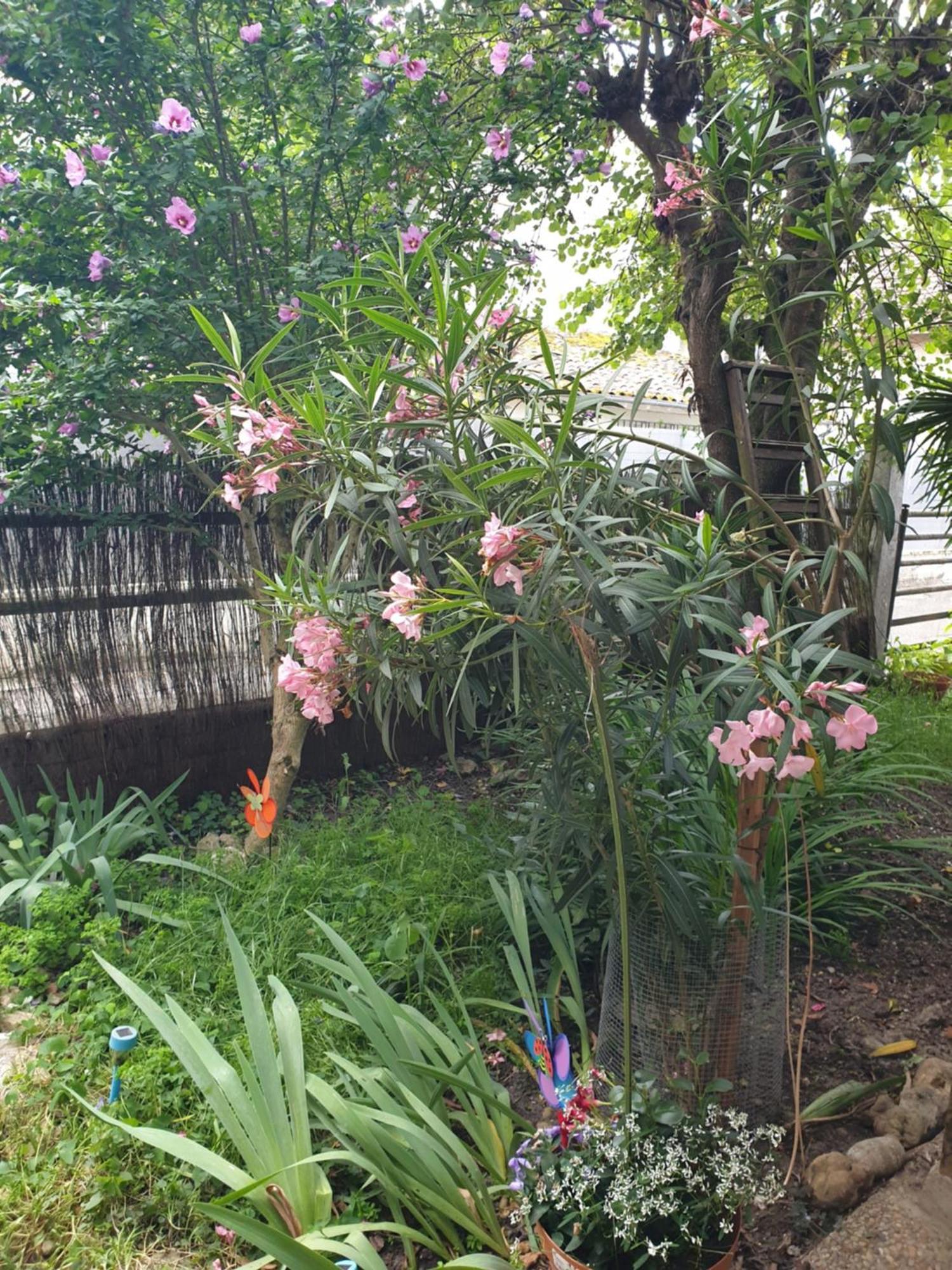 La Demeure Apartment Gabarret ภายนอก รูปภาพ